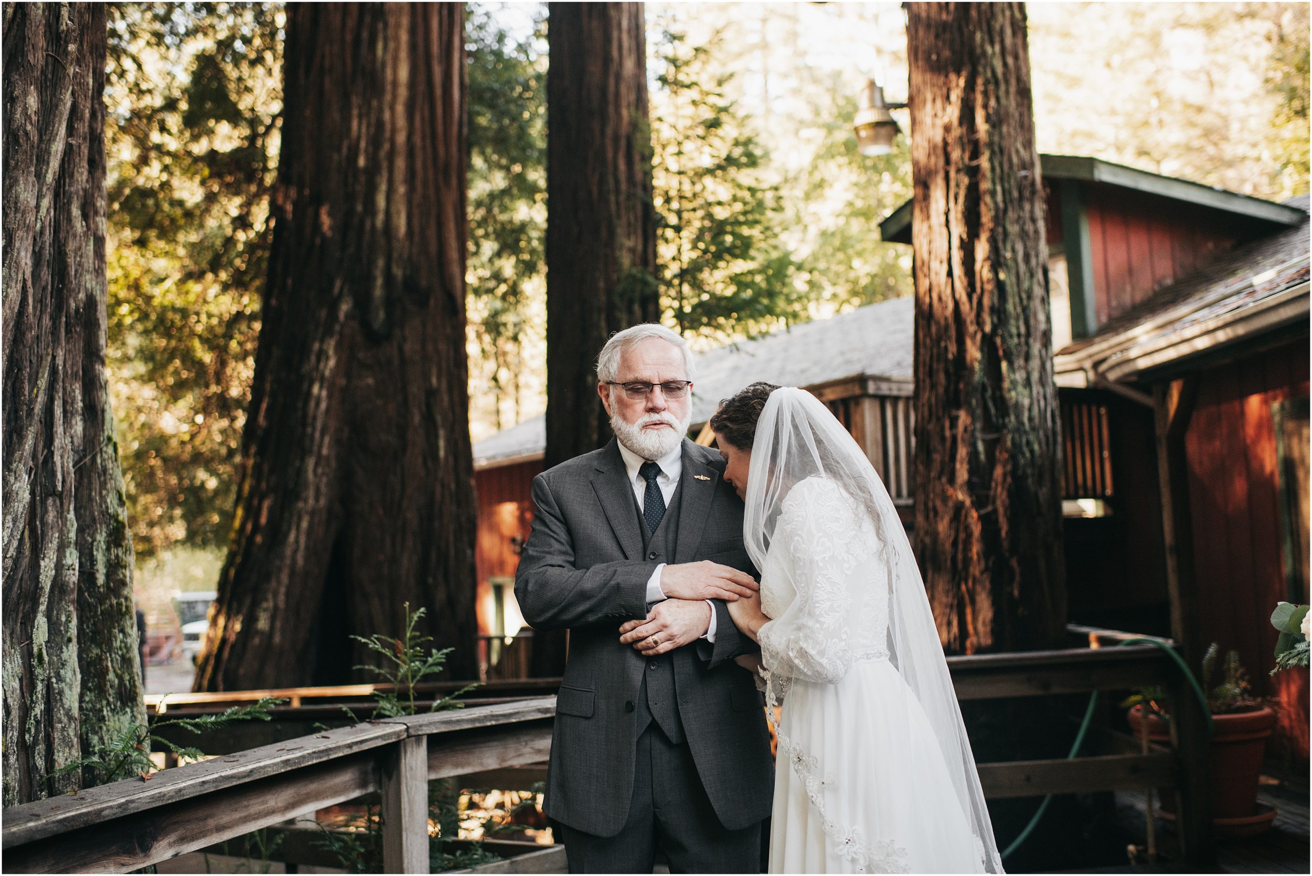 The Redwood Forest Elopement Photos Bay Area Photographer Bodega Bay Photography