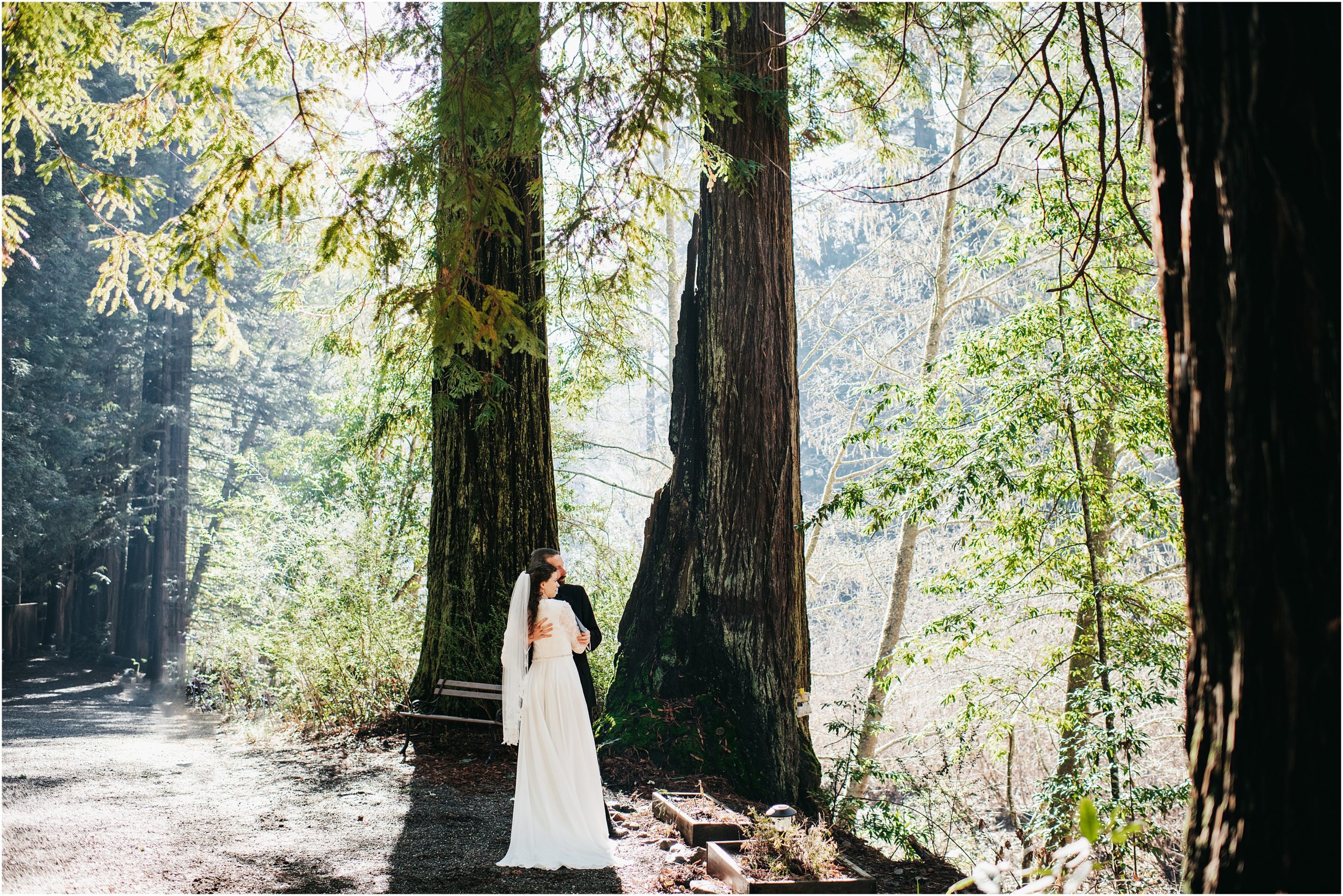 The Redwood Forest Elopement Photos Bay Area Photographer Bodega Bay Photography